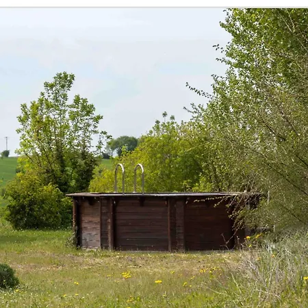 Avec Piscine Privée à Apartamento *